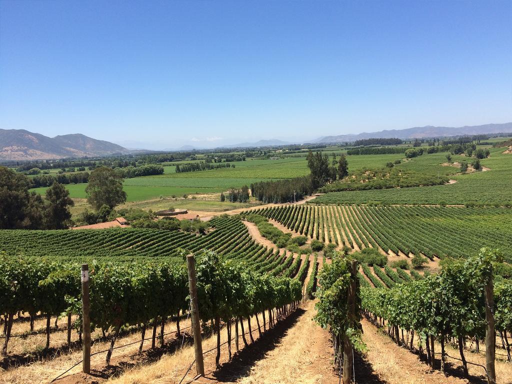 Noi Blend Colchagua Hotel Santa Cruz Kültér fotó
