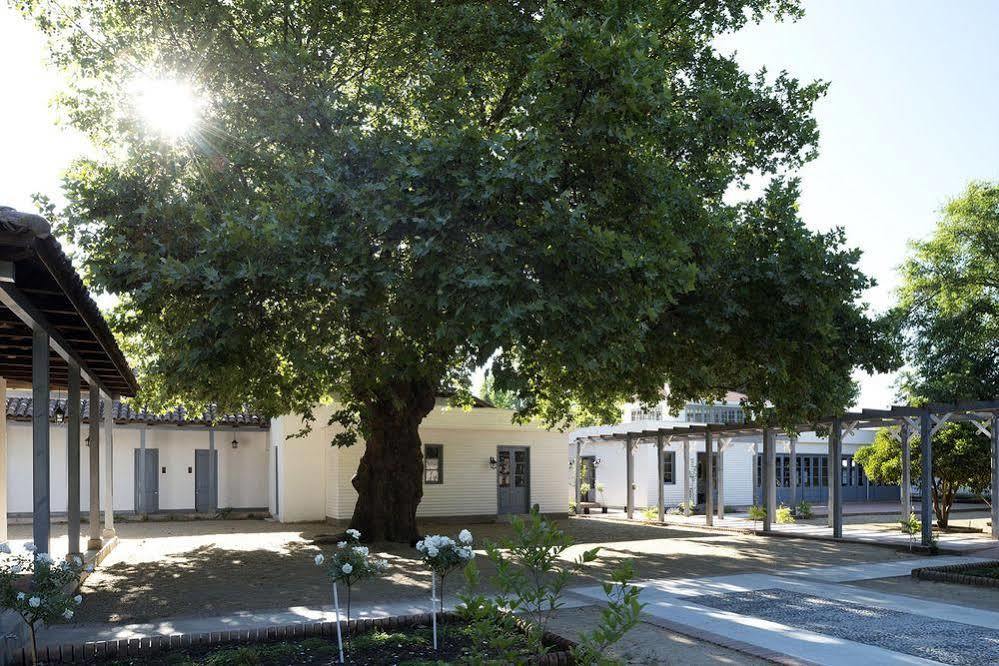 Noi Blend Colchagua Hotel Santa Cruz Kültér fotó