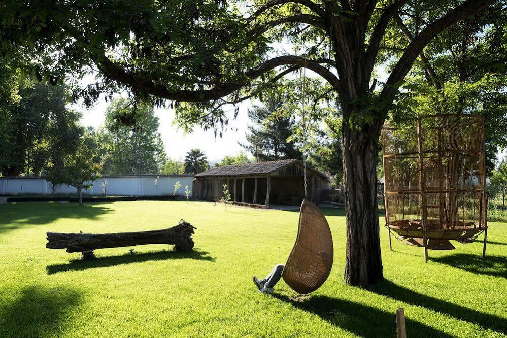 Noi Blend Colchagua Hotel Santa Cruz Kültér fotó